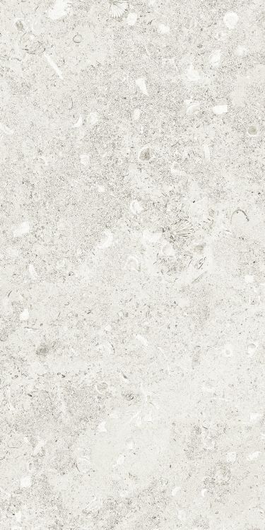 Sea Luster Bianca Matte 12 x 24